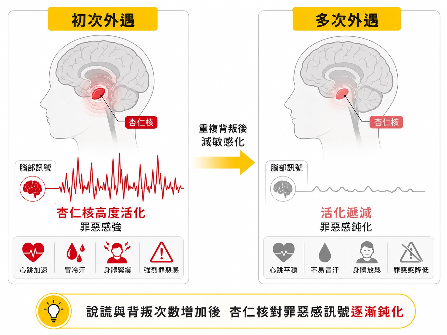 amygdala-desensitization-infidelity-brain